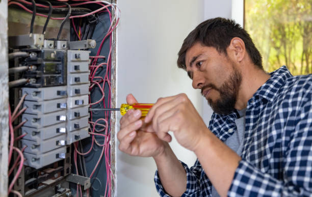 Best Electric Panel Repair  in Cohasset, MN